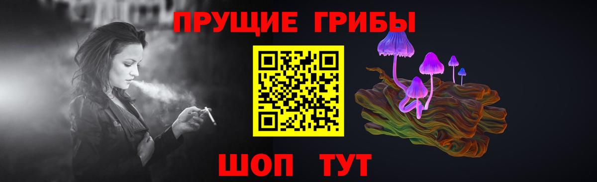 Минусинск  Галлюциногенные грибы Psilocybine cubensis  Вход с VPN 